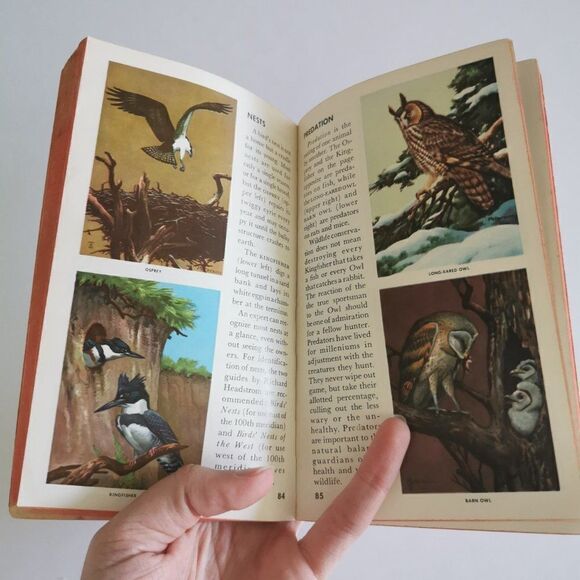 1957 How to Know the Birds Paperback, Roger Peterson Illustrated Vintage Book - Picture 9 of 10